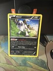 Absol