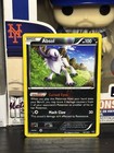 Absol