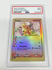 Torchic