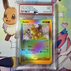 Torchic