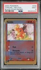 Torchic