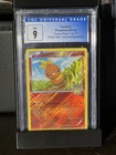 Torchic