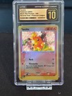 Torchic