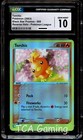 Torchic
