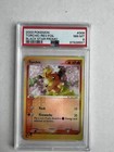 Torchic