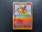Torchic