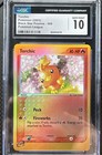 Torchic