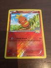 Torchic