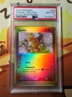 Torchic