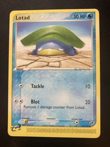Lotad