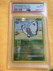 Butterfree