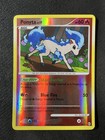 Ponyta