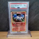 Ponyta