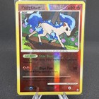 Ponyta