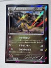 Haxorus