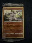 Passimian