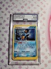 Swampert