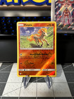 Ponyta