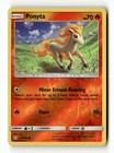 Ponyta