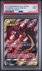 Naganadel & Guzzlord GX