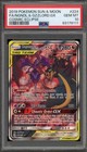 Naganadel & Guzzlord GX