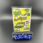 Pidgey