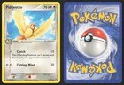 Pidgeotto