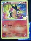 Tepig