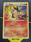 Tepig