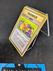 Charizard Trainer
