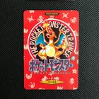 Charizard Trainer
