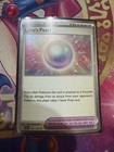Lillie's Pearl