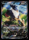 Honchkrow V