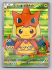 Poncho-Wearing Pikachu Charizard 