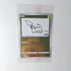 Poncho-Wearing Pikachu Charizard 