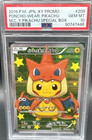 Poncho-Wearing Pikachu Charizard 