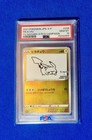 Poncho-Wearing Pikachu Charizard 