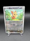 Lillipup