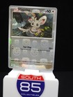 Minccino