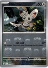 Minccino