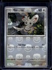 Minccino