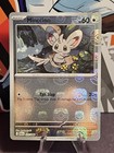 Minccino