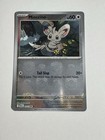 Minccino