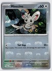 Minccino