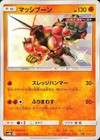 Buzzwole