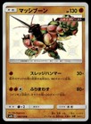 Buzzwole