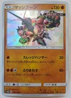 Buzzwole