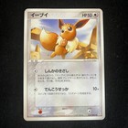 Team Magma's Rhydon