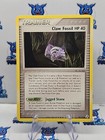 Claw Fossil