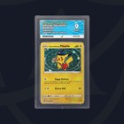 Special Delivery Pikachu